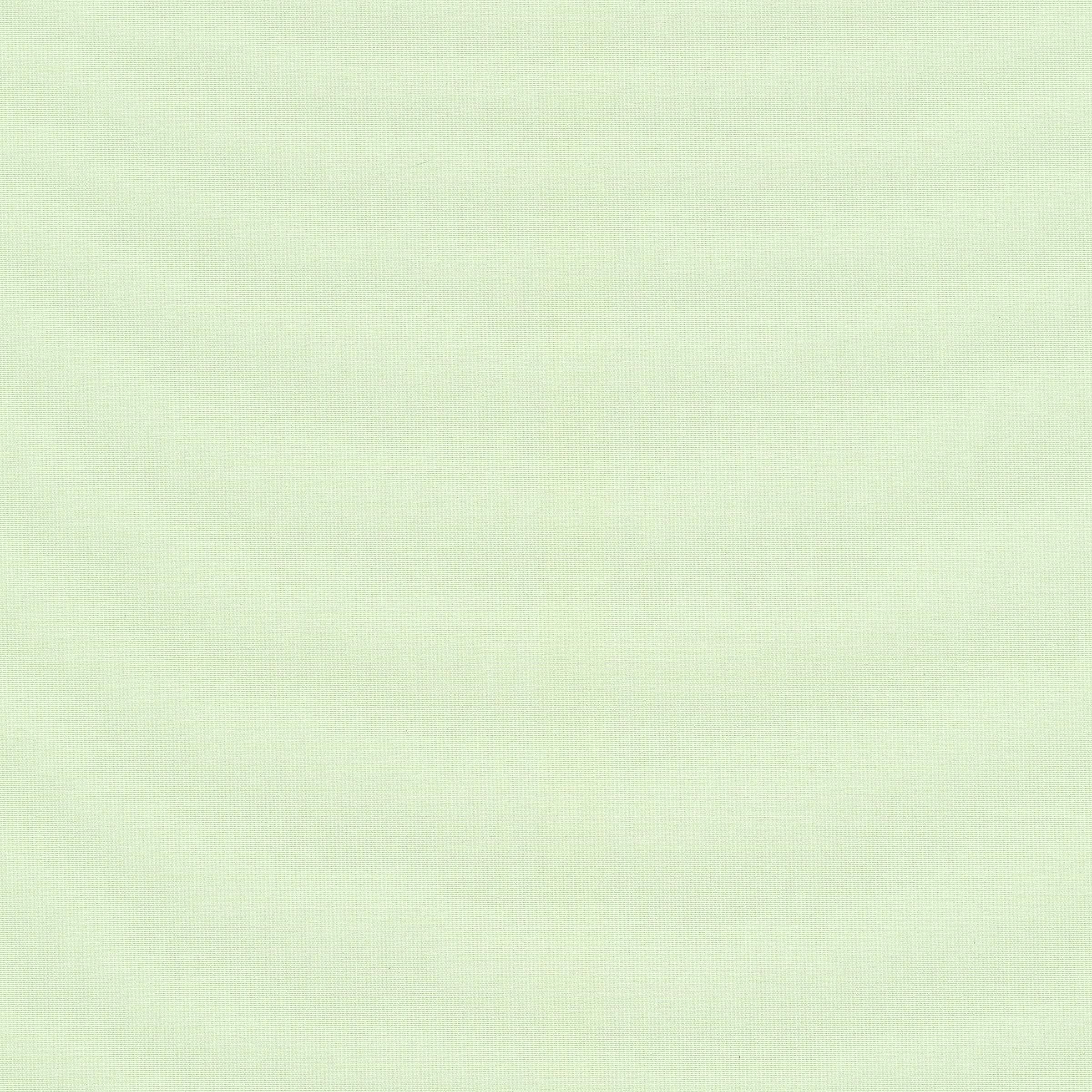 c4169