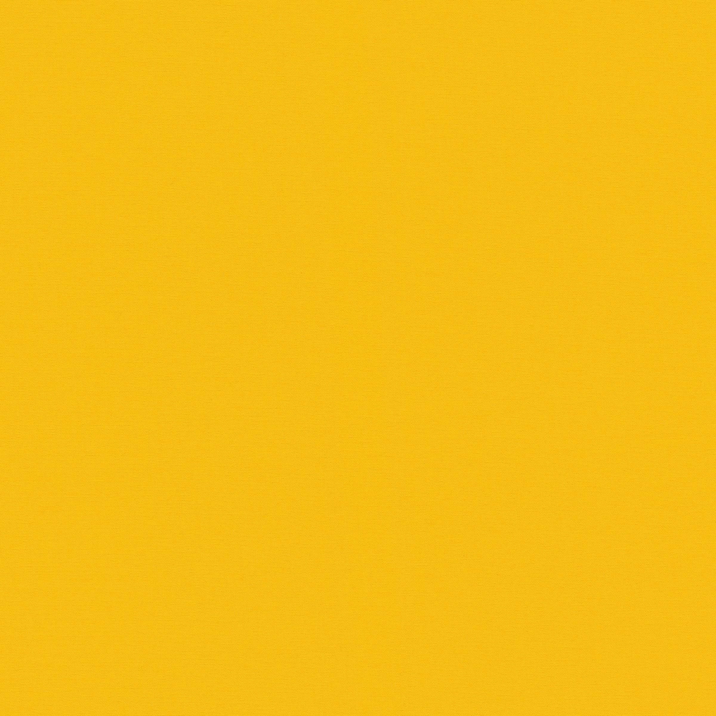 c6119